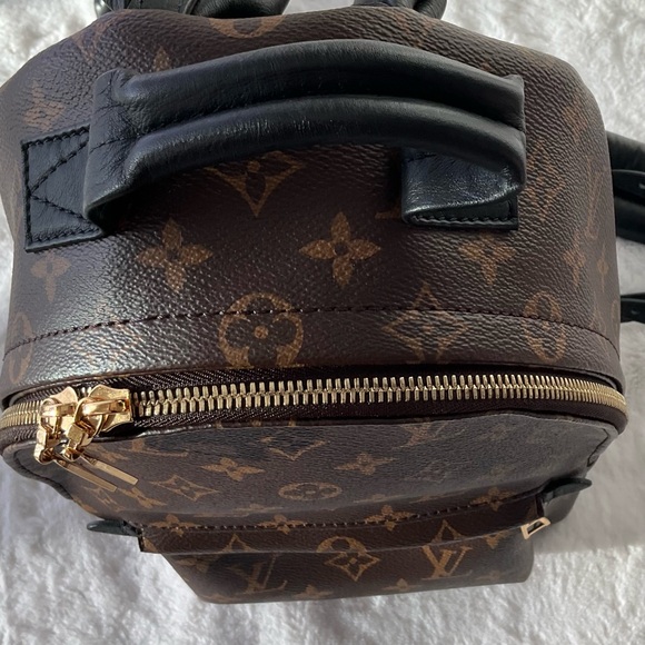 Louis Vuitton Palm Springs PM Monogram Backpack - Picture 4 of 14
